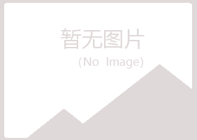 上海宝山从蓉化学有限公司